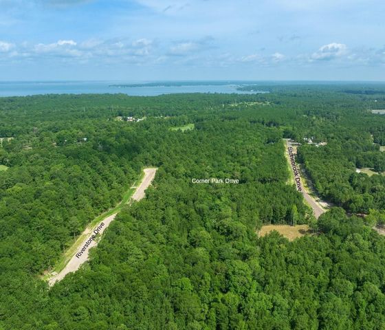TBD Stonebrook Drive, Livingston, TX 77351