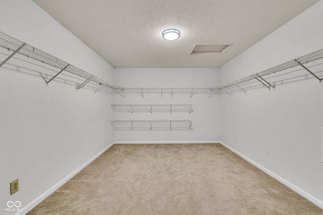 6127 Maple Branch Place, Indianapolis, IN 46221