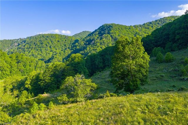 4690 Three Top Road, Creston, NC 28615