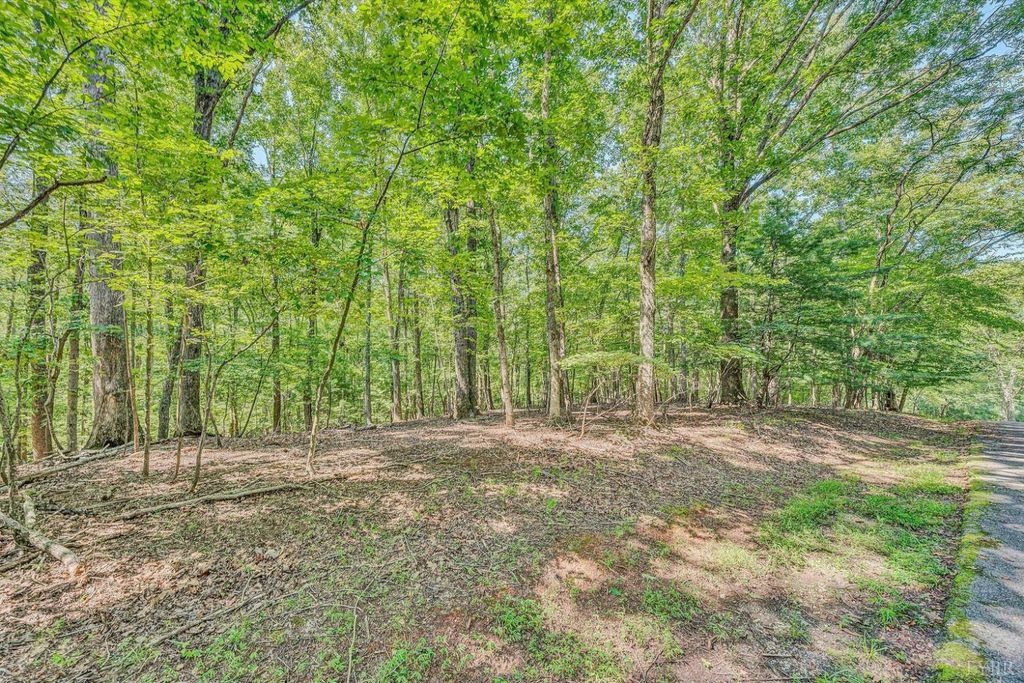 0 Woodridge Trail, Moneta, VA 24121