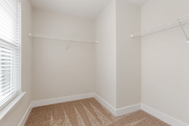 313 Jasmine Park, Hermitage, TN 37076