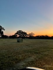 61.32 acres County Road 3417, Emory, TX 75472