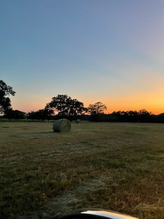 61.32 acres County Road 3417, Emory, TX 75472