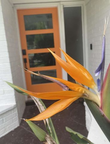 812 E 13TH AVENUE, New Smyrna Beach, FL 32169