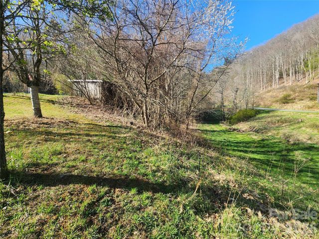 1025 Chandler Cove Road, Marshall, NC 28753
