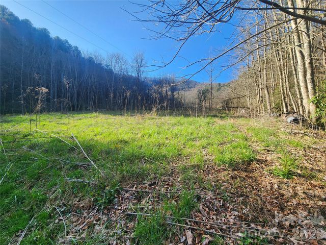 1025 Chandler Cove Road, Marshall, NC 28753