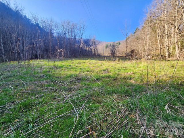 1025 Chandler Cove Road, Marshall, NC 28753