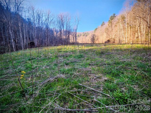 1025 Chandler Cove Road, Marshall, NC 28753