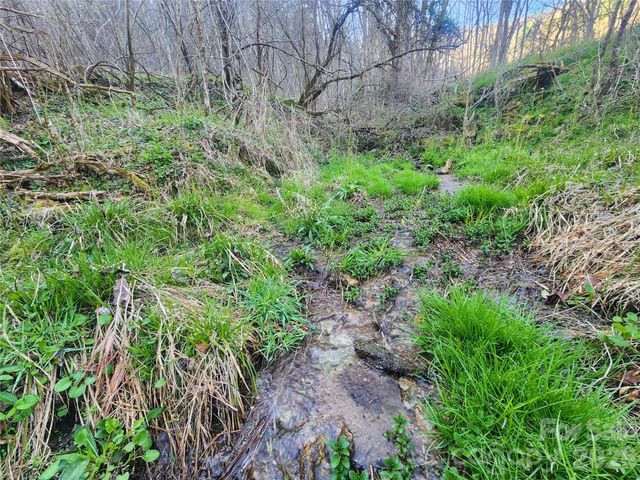 1025 Chandler Cove Road, Marshall, NC 28753