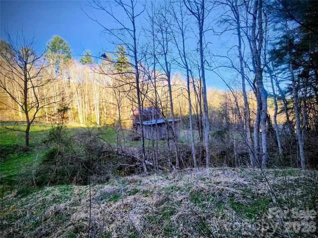1025 Chandler Cove Road, Marshall, NC 28753