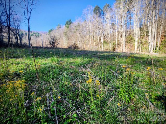1025 Chandler Cove Road, Marshall, NC 28753