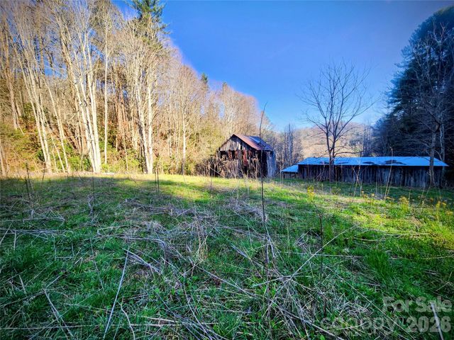 1025 Chandler Cove Road, Marshall, NC 28753