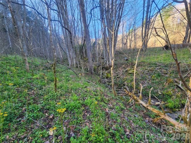 1025 Chandler Cove Road, Marshall, NC 28753