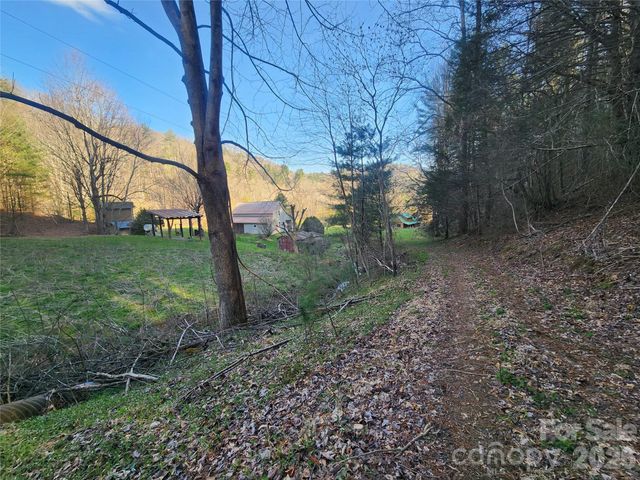 1025 Chandler Cove Road, Marshall, NC 28753