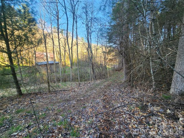 1025 Chandler Cove Road, Marshall, NC 28753
