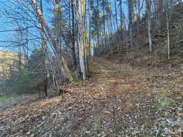 1025 Chandler Cove Road, Marshall, NC 28753