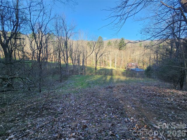 1025 Chandler Cove Road, Marshall, NC 28753
