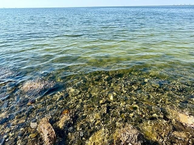 5000 CULBREATH KEY WAY 9-305, Tampa, FL 33611