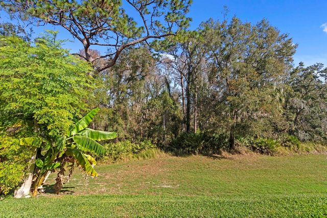 2833 CALVANO DRIVE, Land O Lakes, FL 34639