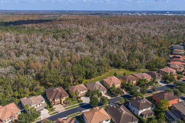 2833 CALVANO DRIVE, Land O Lakes, FL 34639