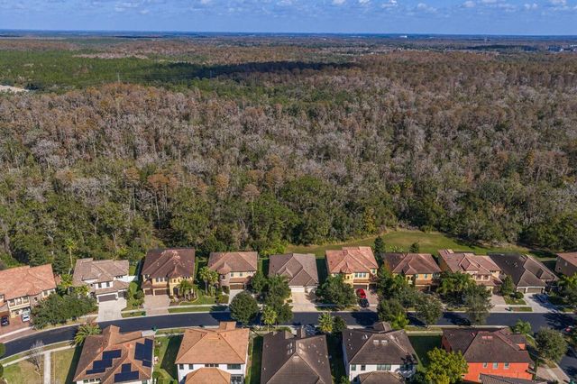 2833 CALVANO DRIVE, Land O Lakes, FL 34639