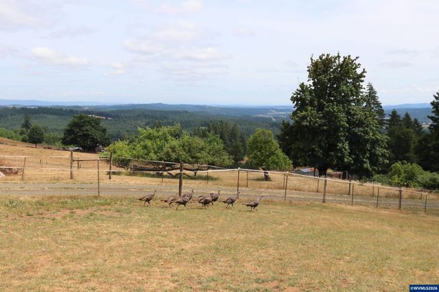 3345 Sample Rd, Falls City, OR 97344