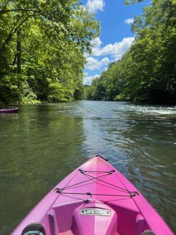 390 Riverbrook RD, Henry, VA 24102