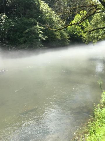 390 Riverbrook RD, Henry, VA 24102