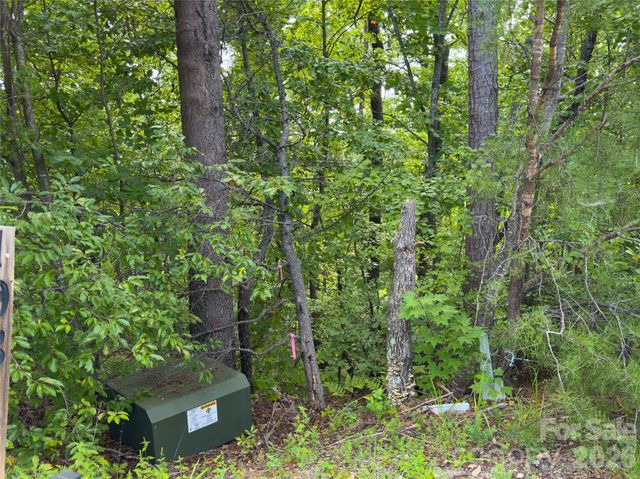 0 Boulder Ridge 5, Lake Lure, NC 28746