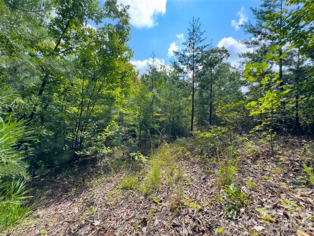 0 Boulder Ridge 5, Lake Lure, NC 28746