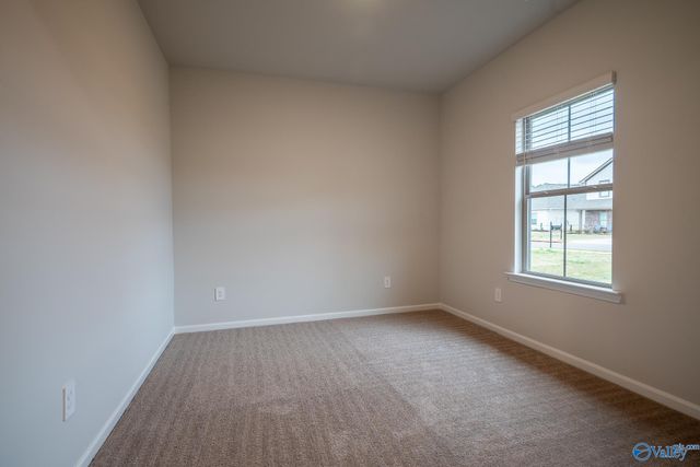 14653 Mountain Stream Drive, Athens, AL 35613