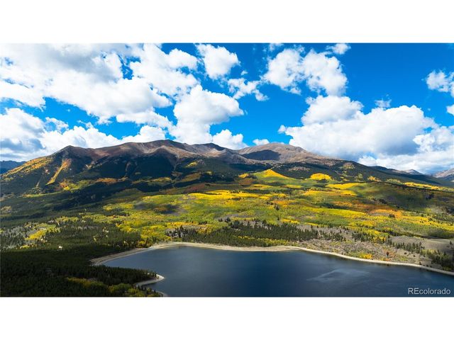247 Juniper Dr, Twin Lakes, CO 80461