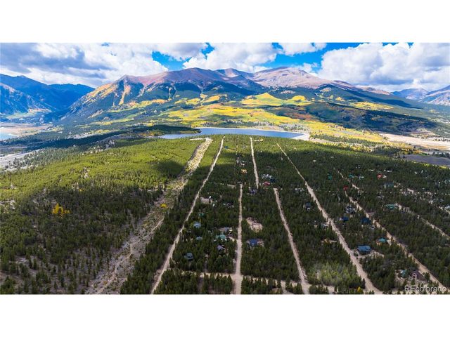 247 Juniper Dr, Twin Lakes, CO 80461