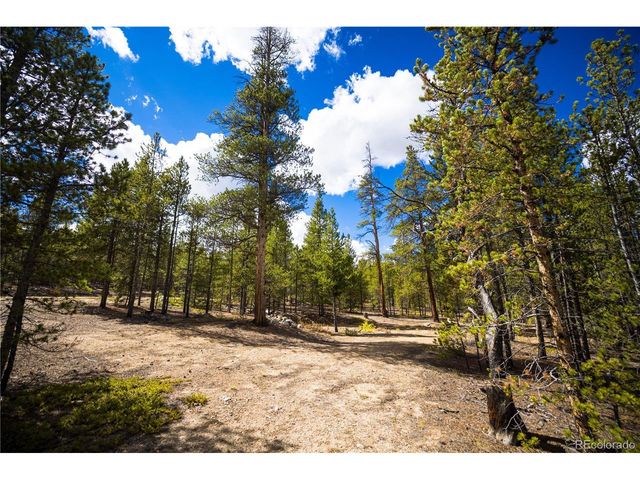 247 Juniper Dr, Twin Lakes, CO 80461