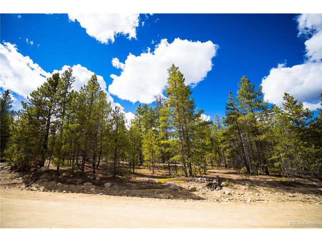 247 Juniper Dr, Twin Lakes, CO 80461