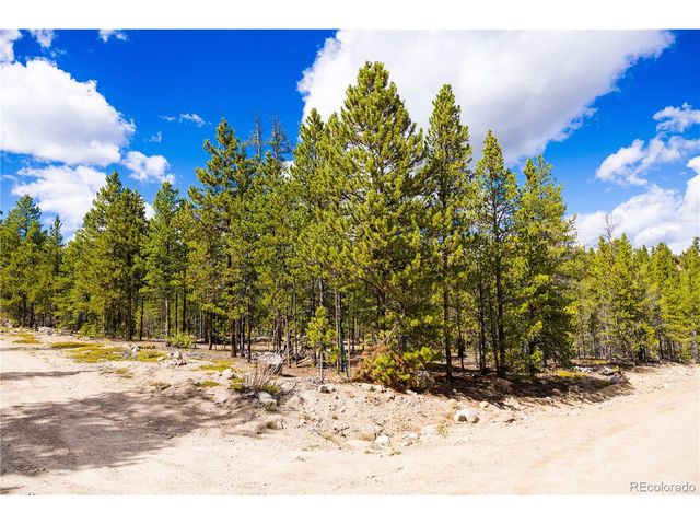 247 Juniper Dr, Twin Lakes, CO 80461