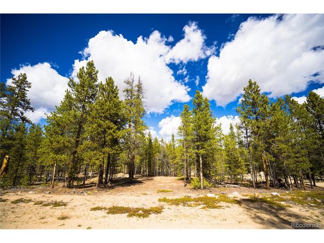 247 Juniper Dr, Twin Lakes, CO 80461