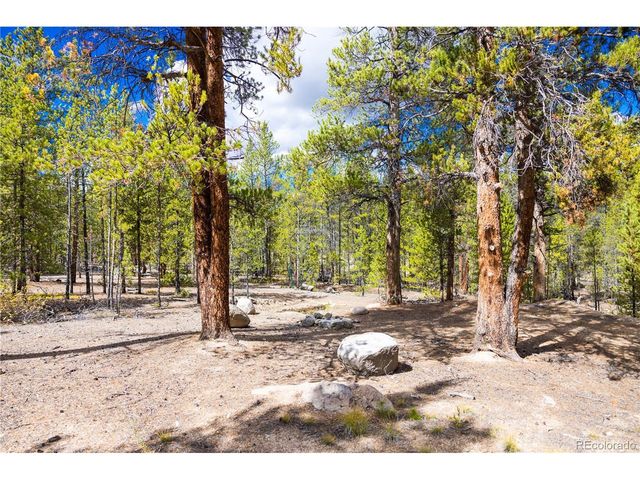 247 Juniper Dr, Twin Lakes, CO 80461