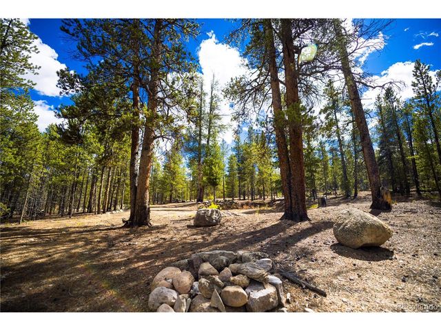 247 Juniper Dr, Twin Lakes, CO 80461