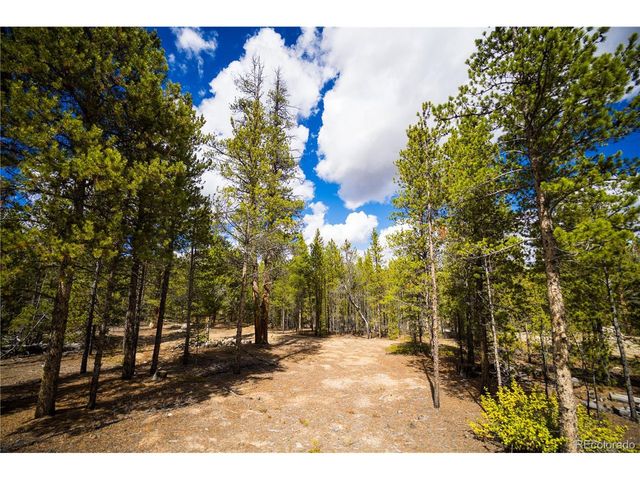 247 Juniper Dr, Twin Lakes, CO 80461