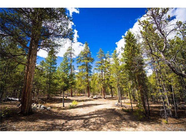 247 Juniper Dr, Twin Lakes, CO 80461