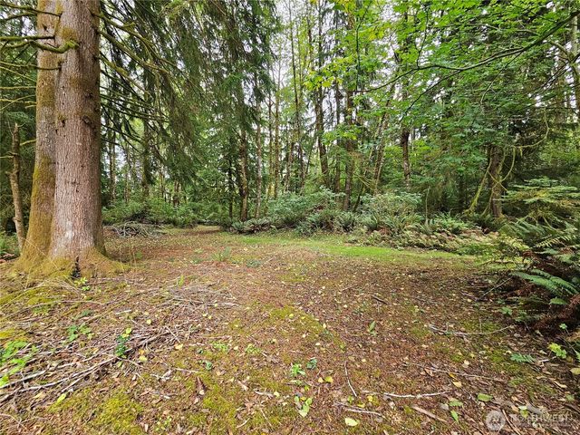 30 Hokanson Road, Elma, WA 98541