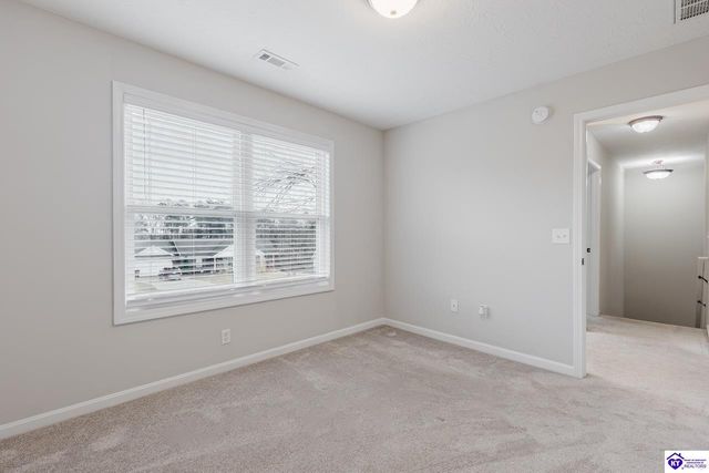 212 Berkshire Avenue, Rineyville, KY 40162