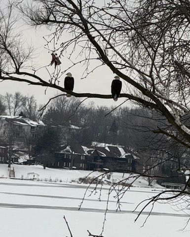 1728 Beachview Court, Crown Point, IN 46307