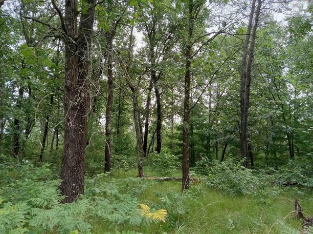 467 St Andrews Trail, Nekoosa, WI 54457