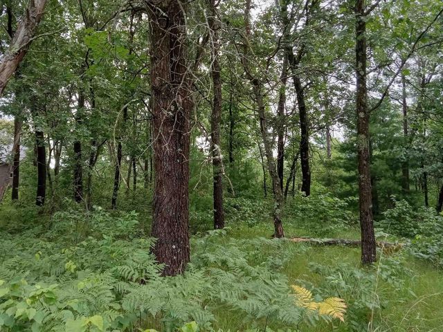 467 St Andrews Trail, Nekoosa, WI 54457