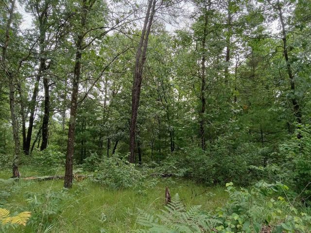 467 St Andrews Trail, Nekoosa, WI 54457