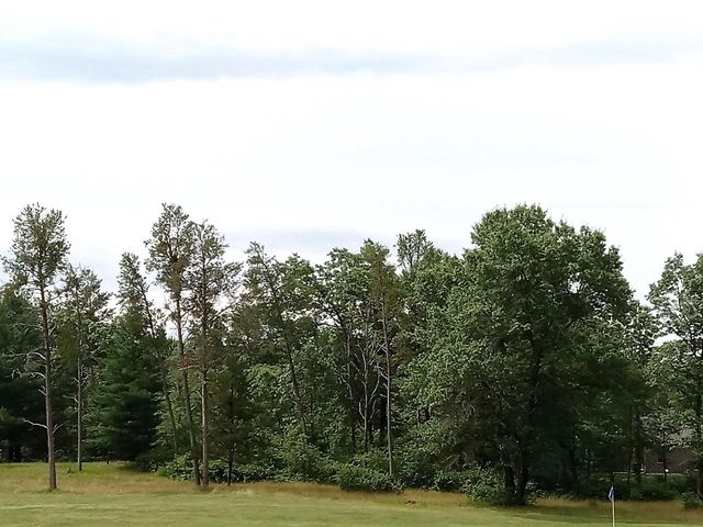 467 St Andrews Trail, Nekoosa, WI 54457