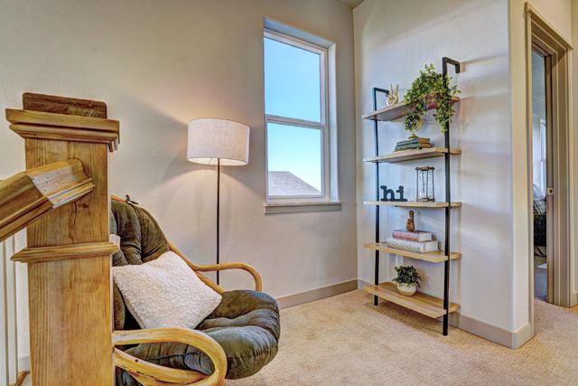 1985 Tomochic Drive, Fruita, CO 81521