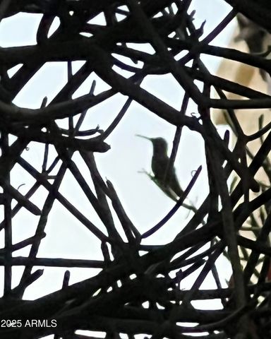 771 E PEPPER Drive, Casa Grande, AZ 85122